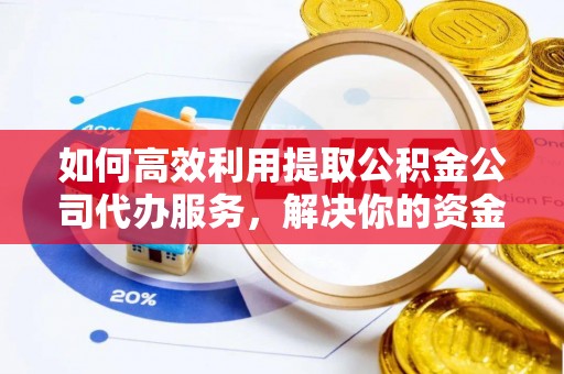 洛南如何高效利用提取公积金公司代办服务，解决你的资金难题